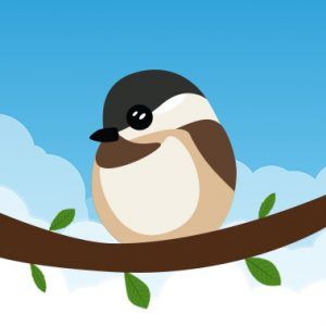 Chickadeasy Shopping & Review