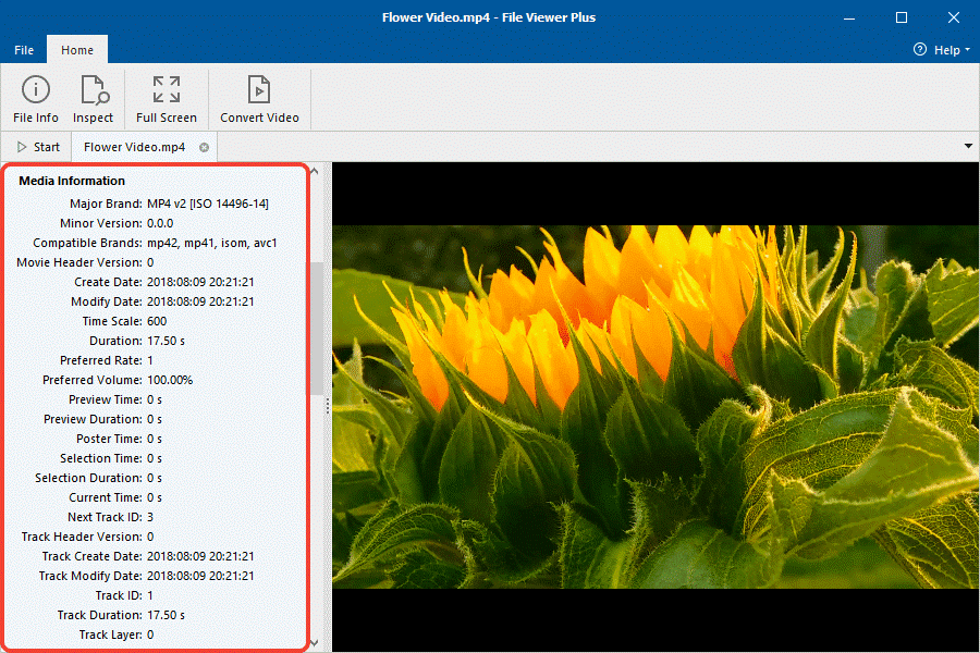 File Viewer Plus
