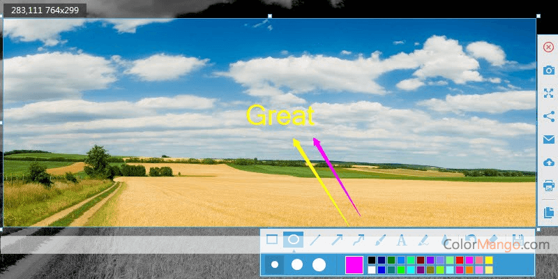 ace screen grabber pro record entire screen