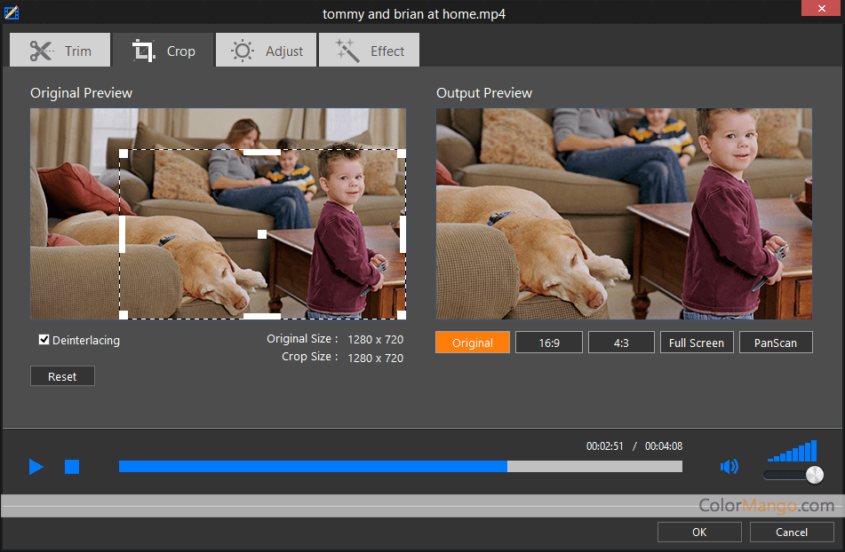 Program4Pc Video Converter Pro 30% OFF Coupon (100% Working)