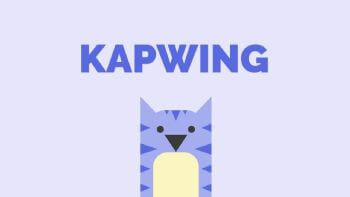 Kapwing Shopping & Review