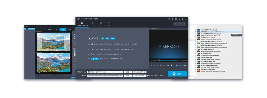Aiseesoft 4K 変換 Screenshot