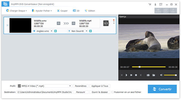 AnyMP4 DVD Convertisseur Screenshot