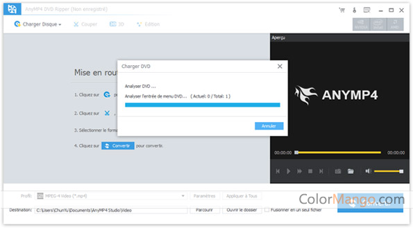 AnyMP4 DVD Ripper Screenshot