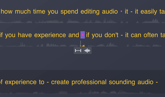Audiate Screenshot