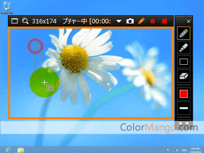 Bandicam Screenshot