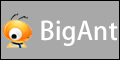 BigAntIM