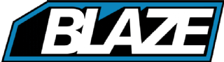 Blaze AI Discount Coupon