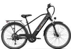 EB5 Roamer Ebike