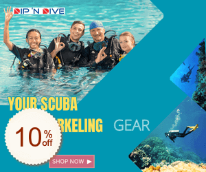 DipN’ Dive Discount Coupon