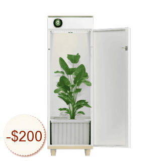 Hey Abby Growbox Discount Coupon