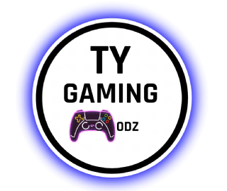 TY GAMING MODZ Shopping & Review