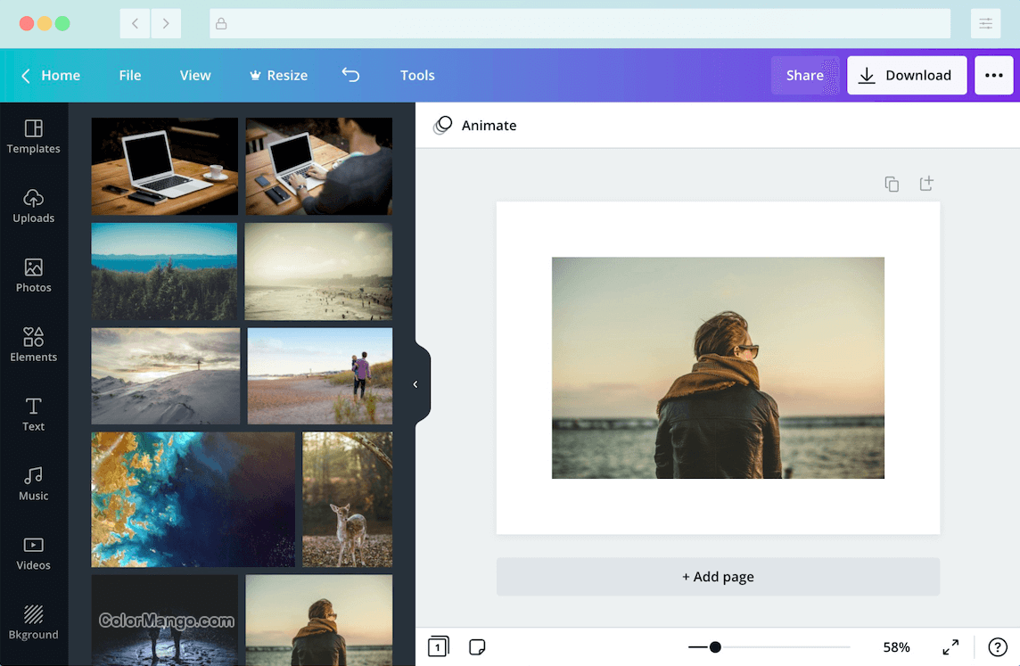 Canva Pro Online Shopping, Price, Free Trial