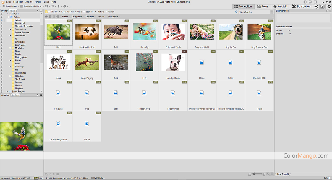 ACDSee Photo Studio Screenshot