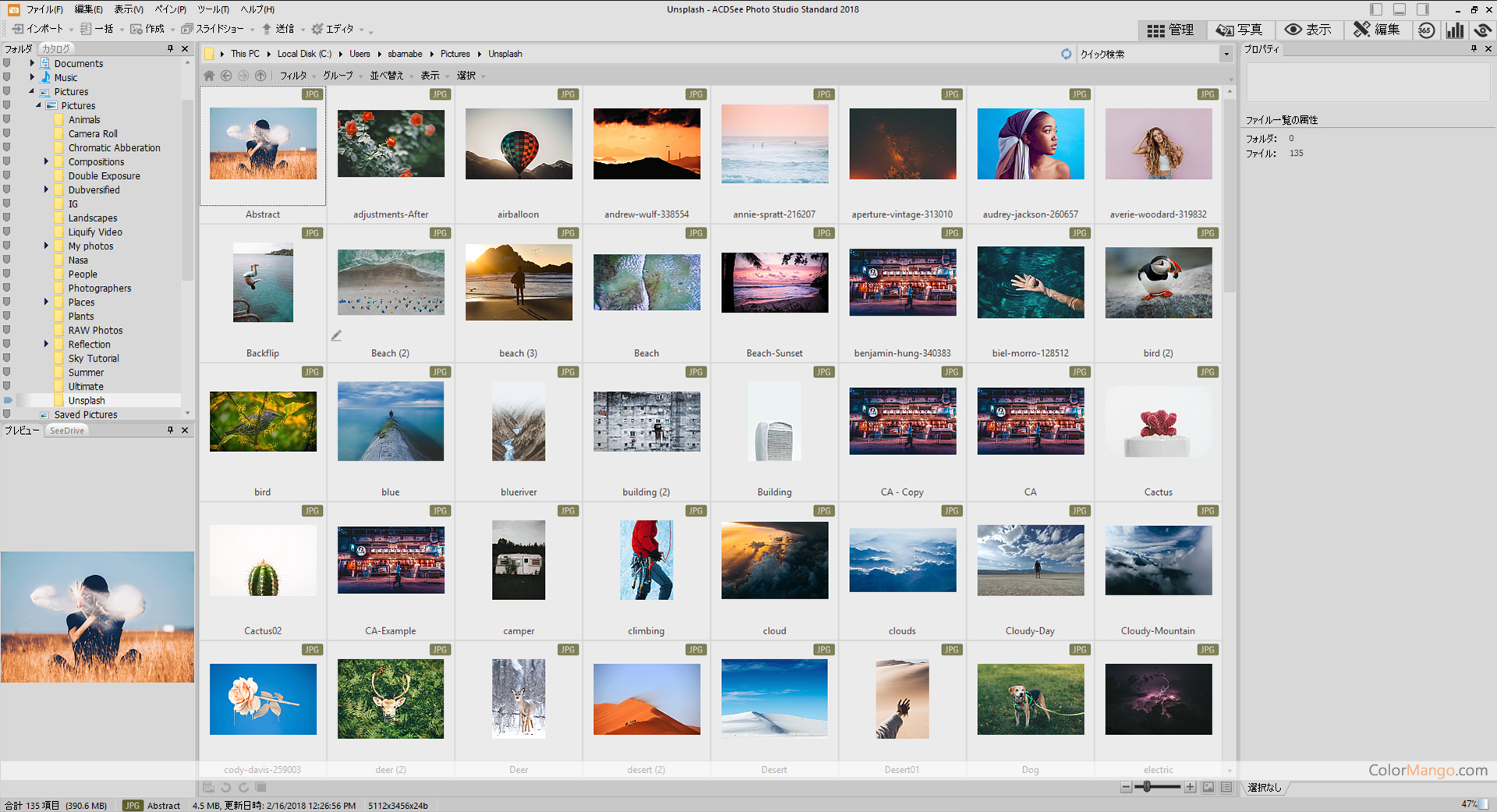 ACDSee Photo Studio Screenshot