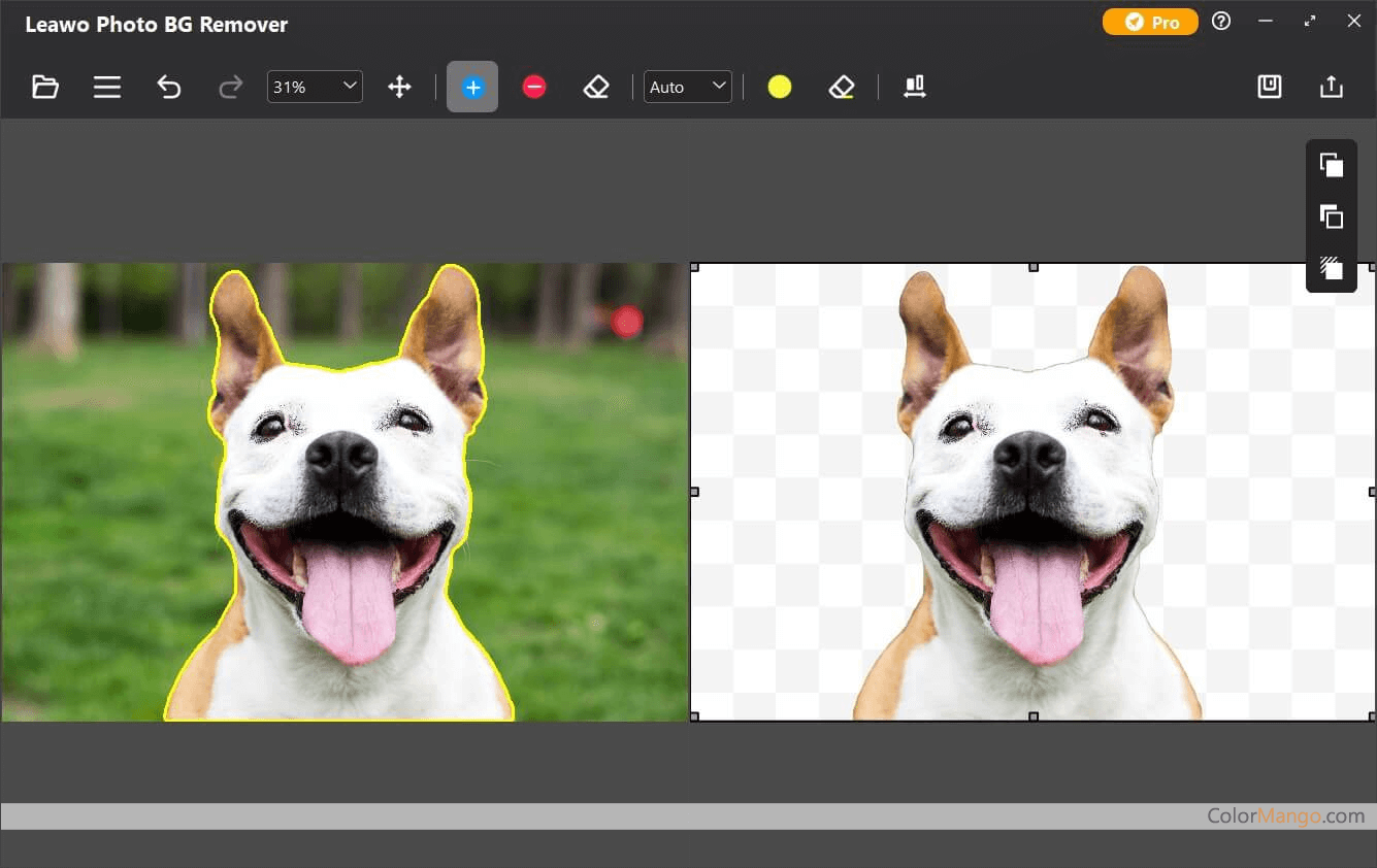 Leawo Photoins Photo BG Remover Screenshot