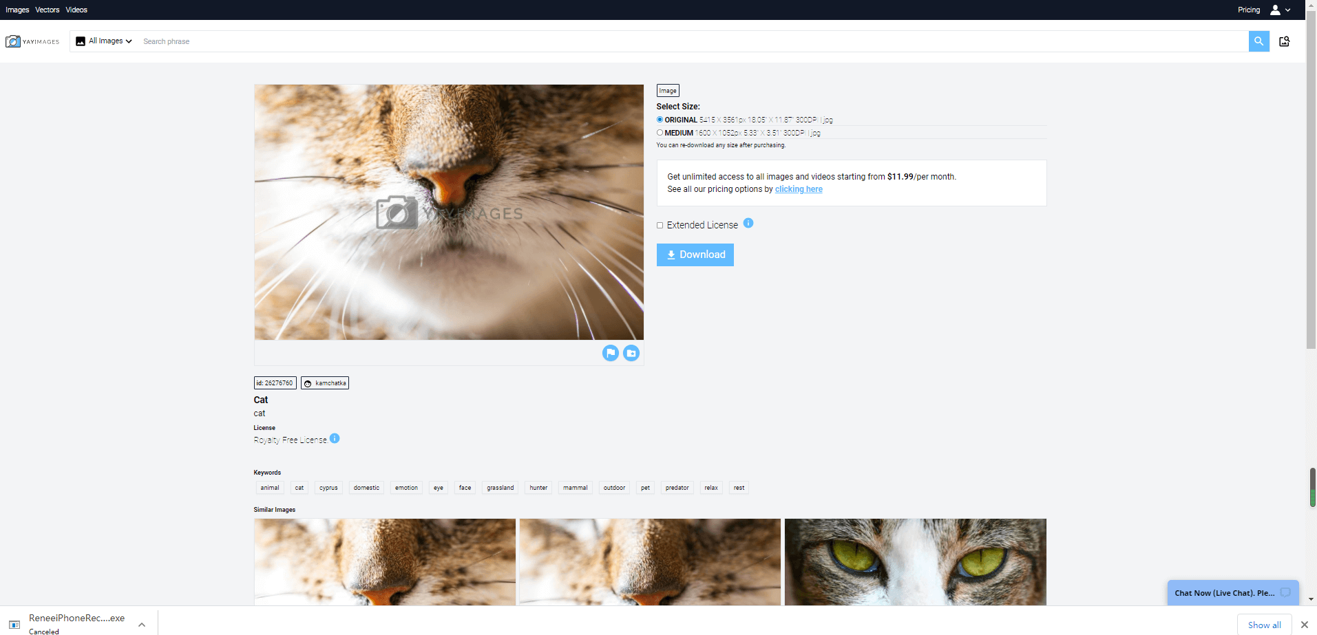 Yay Images Screenshot