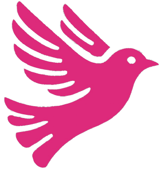 SocialScraper Shopping & Review