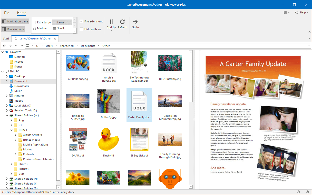pdf plus se viewer application removal