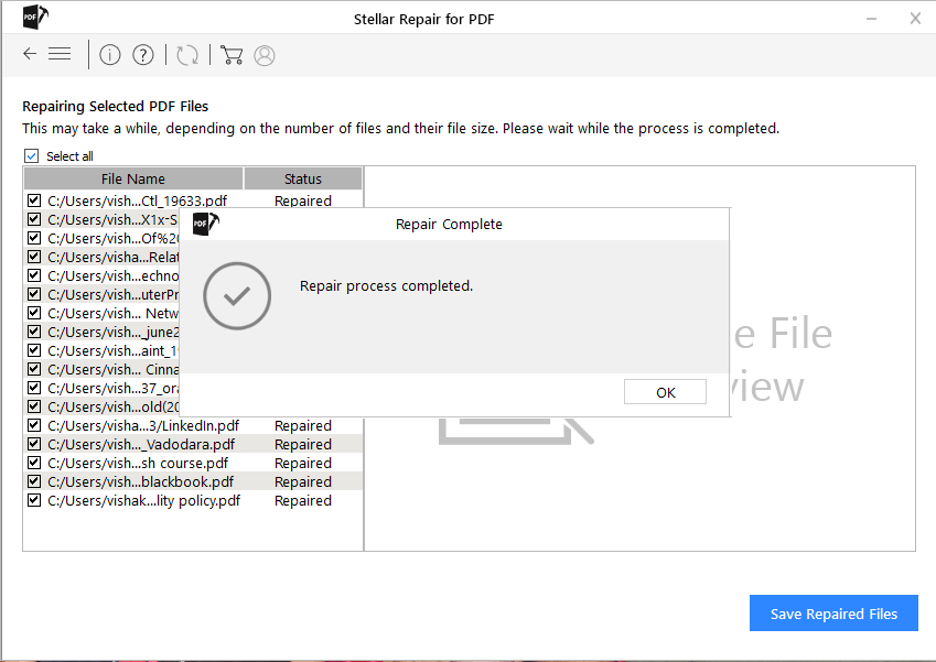 stellar repair for photo 6.3 activation key free