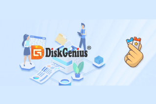 DiskGenius Shopping & Review