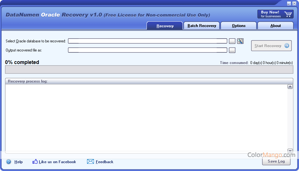 DataNumen Oracle Recovery Screenshot